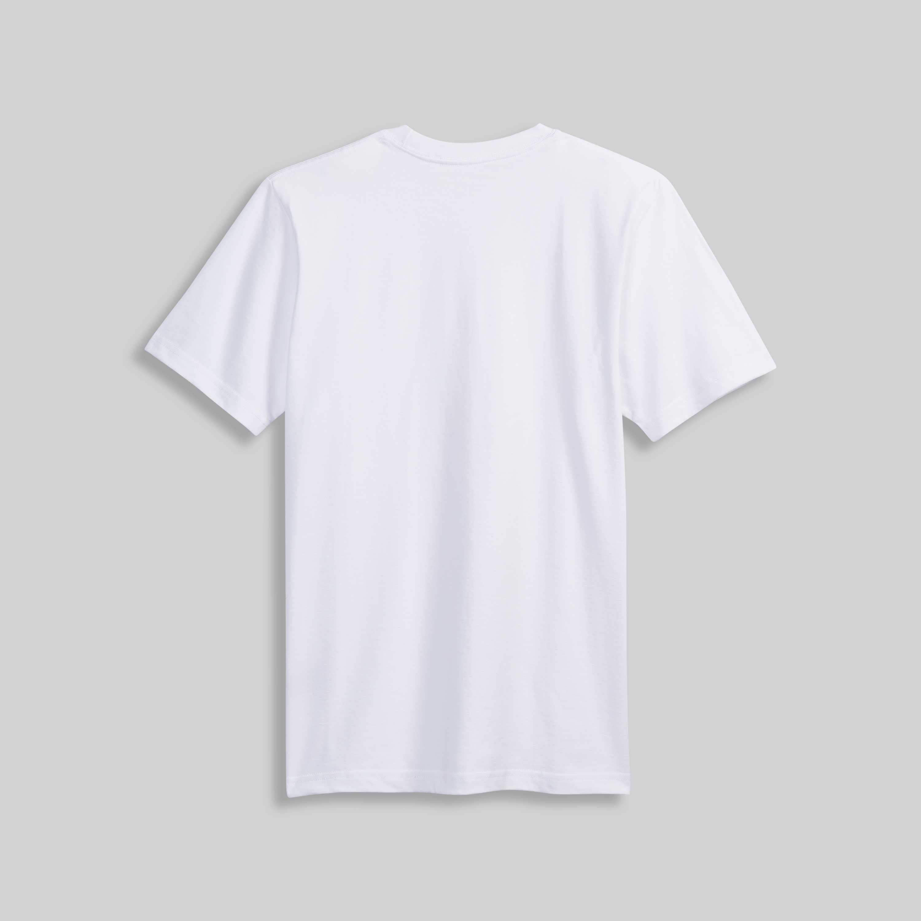 1009 HEAVYWEIGHT T-SHIRT