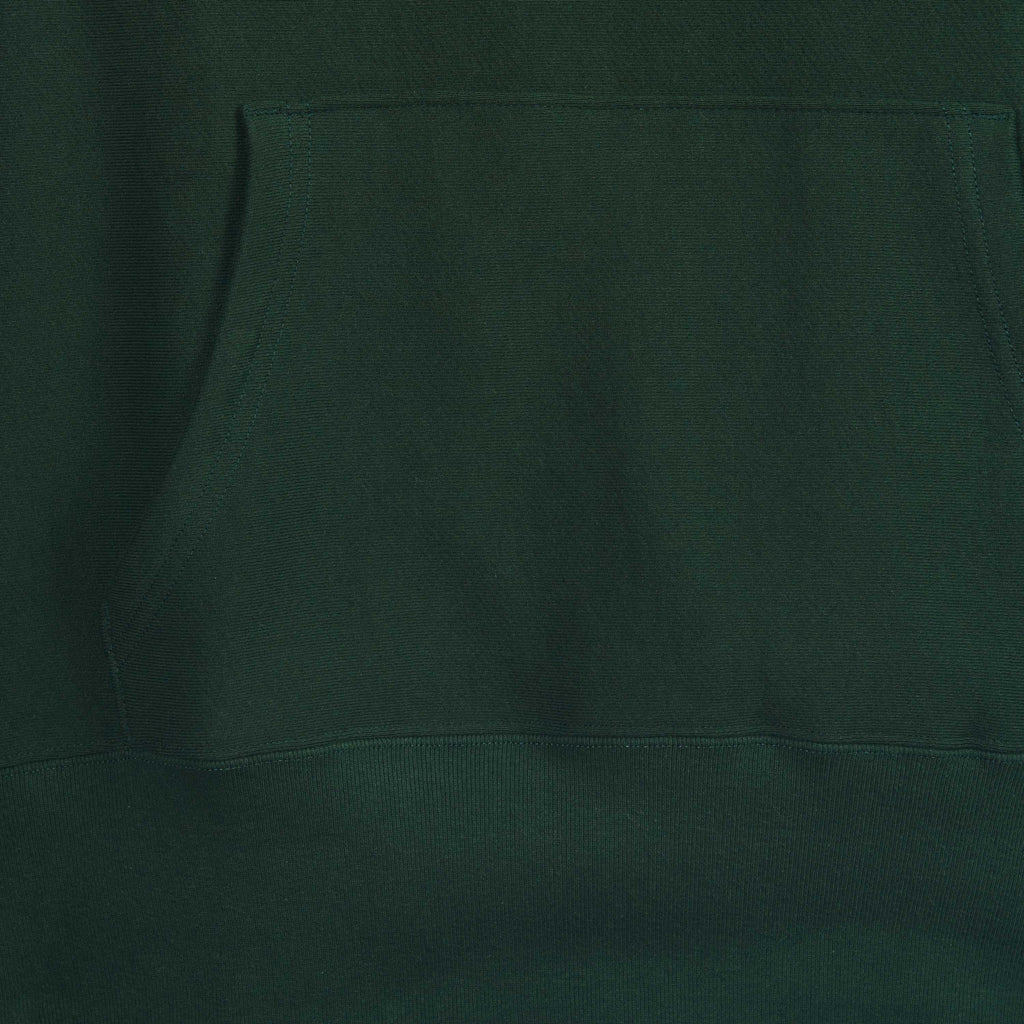 3010 RELAXED FIT PULLOVER HOODED SWEATSHIRT