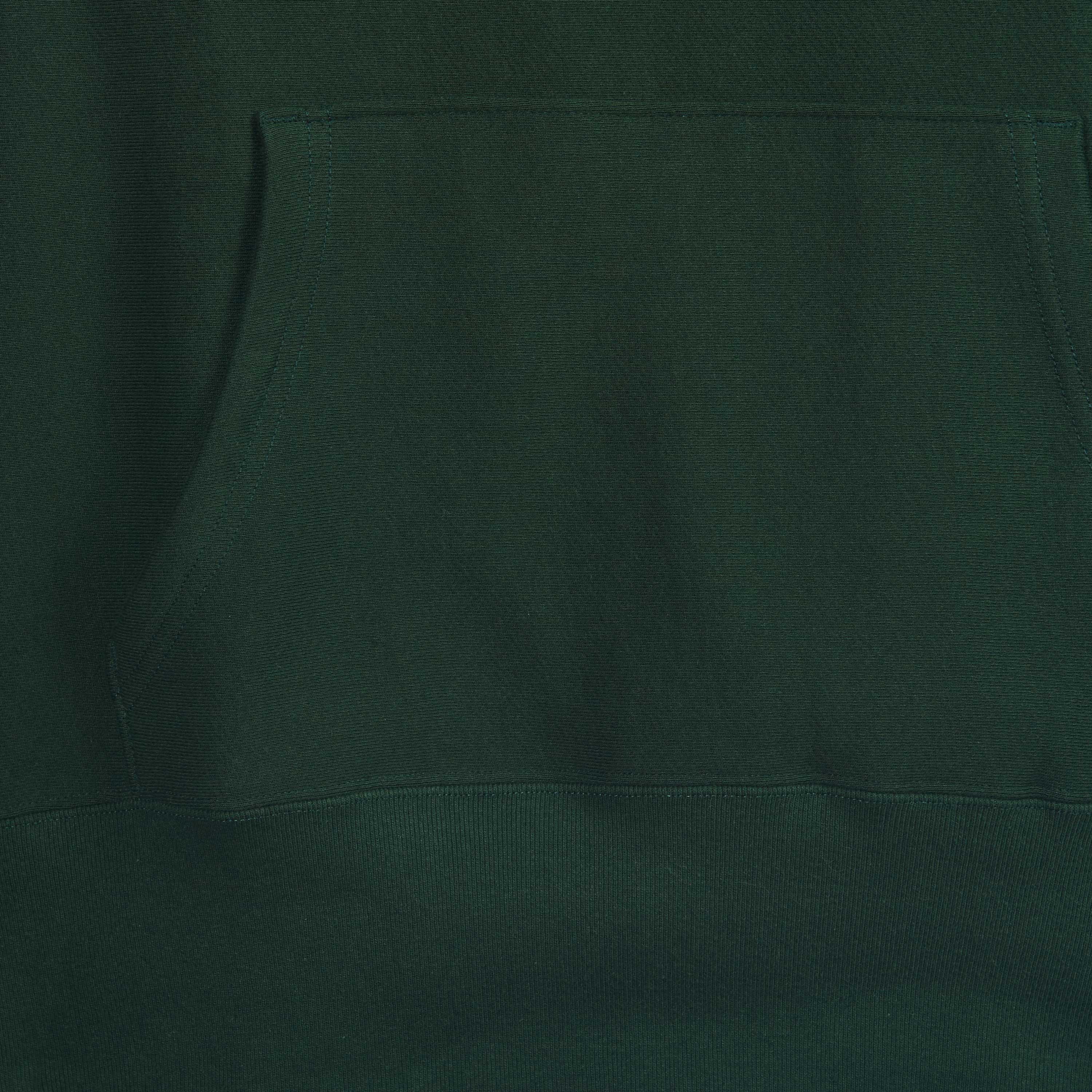 3010 RELAXED FIT PULLOVER HOODED SWEATSHIRT